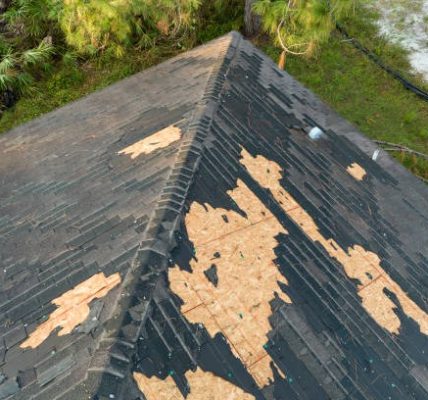 Choosing the Right Roofing Company for Quality Home Protection
