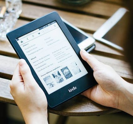 The Essentials of Statistics A Tool for Social Research (4th Edition) PDF eBook