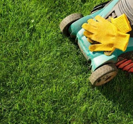 Buford’s Top Lawn Care Services for Homes & Businesses