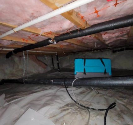 Crawlspace Encapsulation Problems and How to Fix Them