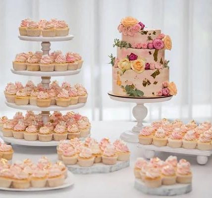 Everything You Need to Know About Torch Disposable Vape