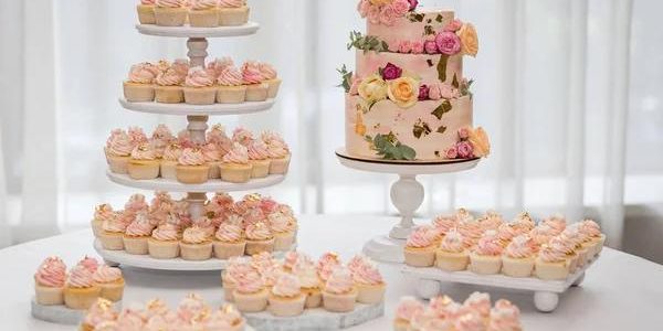 Everything You Need to Know About Torch Disposable Vape