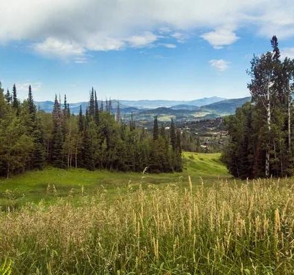 Family-Friendly Ski Steamboat Springs: Fun for All Ages