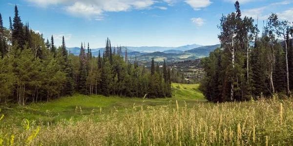 Family-Friendly Ski Steamboat Springs: Fun for All Ages