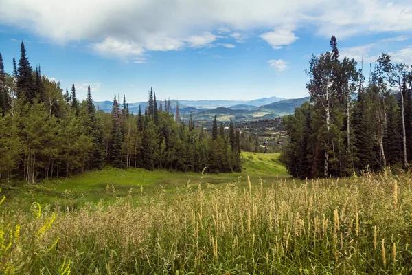 Family-Friendly Ski Steamboat Springs: Fun for All Ages