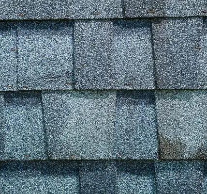 Dependable Roofing Seattle Services with Fair Pricing