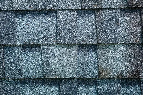 Dependable Roofing Seattle Services with Fair Pricing