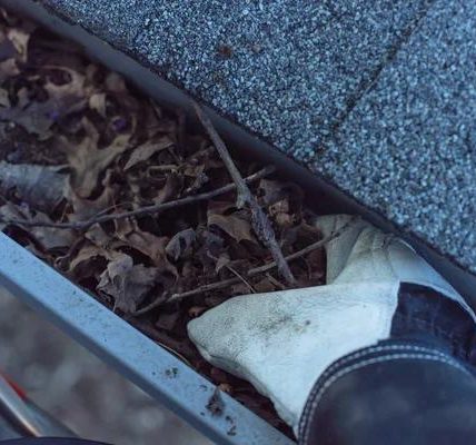 Protect Your Roof with Professional Gutter Cleaning Service Indianapolis